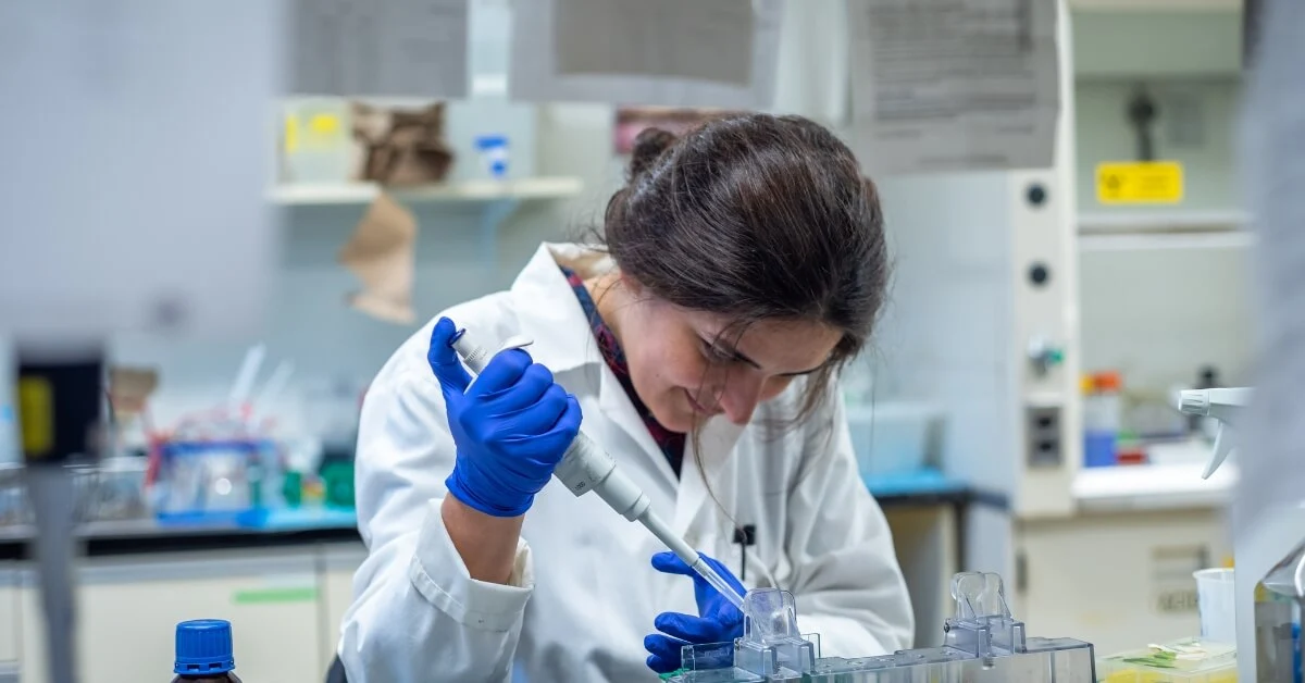 biomedical engineering